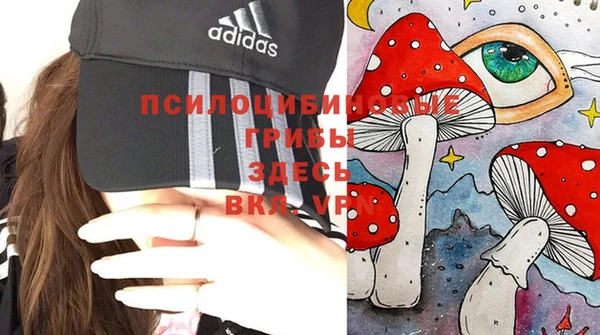 дмт Алексеевка